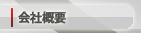 ЊTv