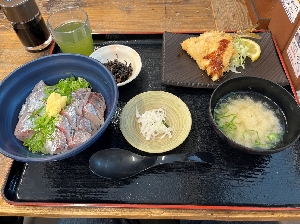 弾丸旅